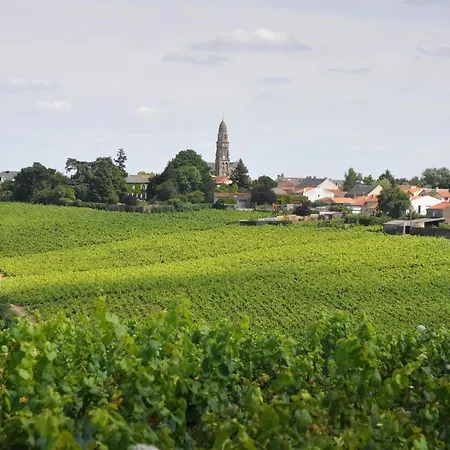 Feriehus Authentique Au Coeur Des Vignes Avec Terrasse Privative Et Wifi, A 25 Km De Nantes - Fr-1-306-813 Le Landreau