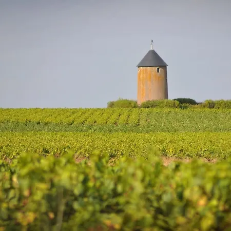 Authentique Au Coeur Des Vignes Avec Terrasse Privative Et Wifi, A 25 Km De Nantes - Fr-1-306-813 *