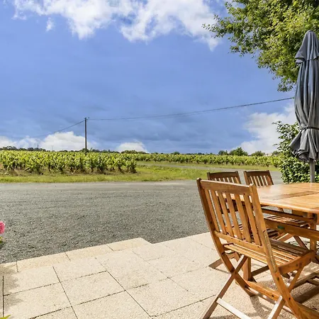 Authentique Au Coeur Des Vignes Avec Terrasse Privative Et Wifi, A 25 Km De Nantes - Fr-1-306-813 Feriehus Le Landreau