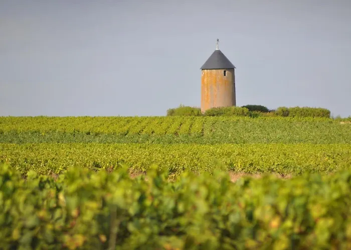 Authentique Au Coeur Des Vignes Avec Terrasse Privative Et Wifi, A 25 Km De Nantes - Fr-1-306-813 *